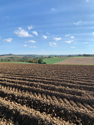 A plowed field with furrows against a blue sky in sunny weather in Germany. State of Baden-Württemberg. Vertical photo.