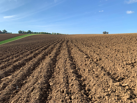 A plowed field against a blue sky in sunny weather in Germany. State of Baden-Württemberg. In the distance there are trees on the horizon. Horizontal photo.