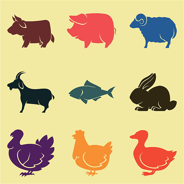 축산학 - pig silhouette animal livestock stock illustrations