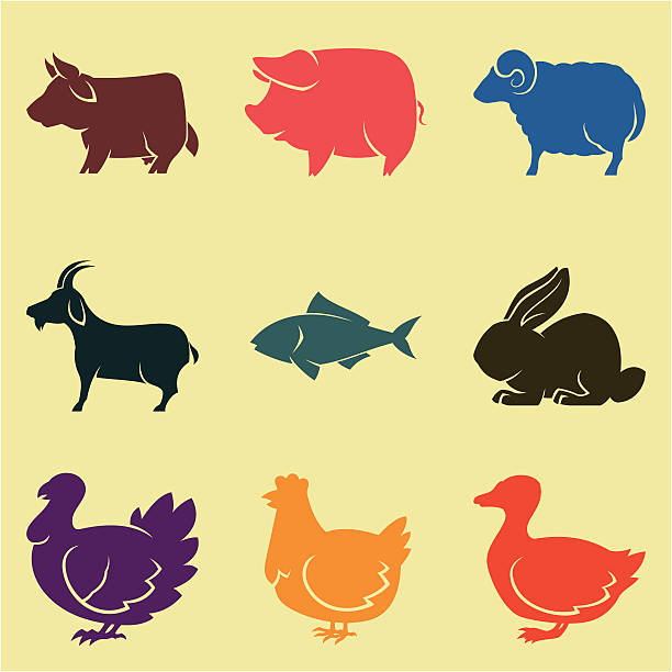 Animal husbandry icons in different colors Animal husbandry set. PNG files (3385x3269, 300 dpi) without background in color and black varitions is also included. goose meat illustrations stock illustrations