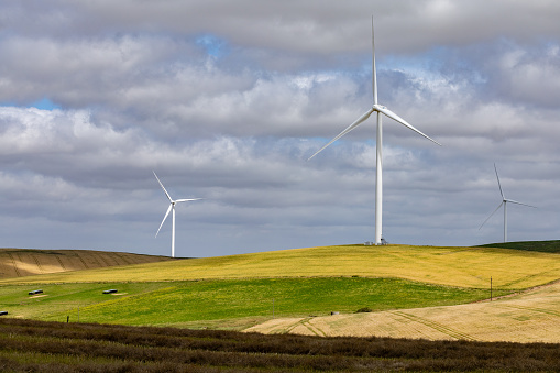 Wind turbines in the Overberg region of South Africa, generating green, renewable energy.