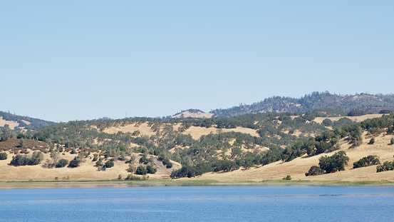 Lake in Napa, CA