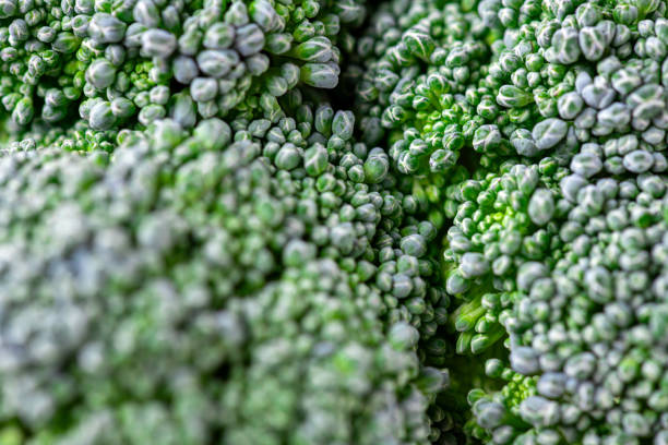 istock Pattern of broccoli. Macro photo green broccoli texture. Fresh green broccoli vegetable. Vegetables for diet and healthy food. Organic food 1743068367