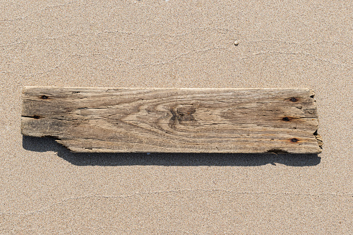 Sea drift wood plank isolated on beach sand background. Template mockup