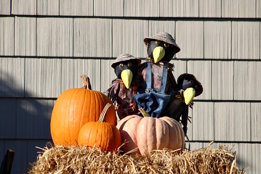 Halloween decoration with funny scarecrow in a wreath.