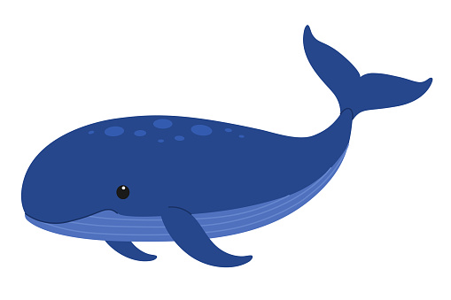 Cute blue whale. Giant ocean animal. Childish character. Vector flat illustration isolated on white background