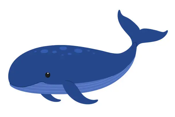 Vector illustration of Cute blue whale. Giant ocean animal. Childish character. Vector flat illustration isolated on white background