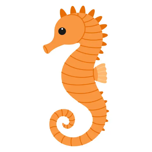 Vector illustration of Cute orange sea horse. Sea and ocean animal. Underwater life. Childish hippocampus character. Vector flat illustration isolated on white background