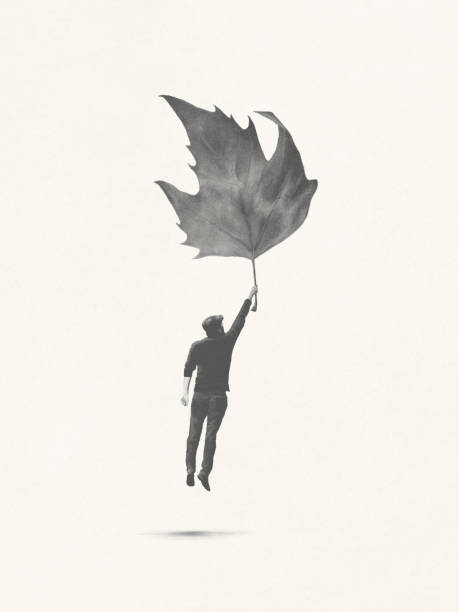 Illustration of man trying to fly with fig leaf, surreal minimal concept Illustration of man trying to fly with big leaf, surreal minimal concept silhouette of a fall leaves black and white stock illustrations