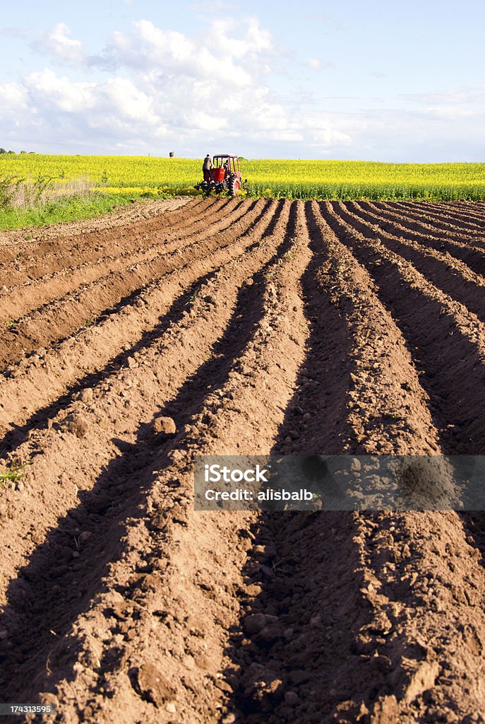 Wiosna tillage w ziemi i ciągnik - Zbiór zdjęć royalty-free (Brązowy)