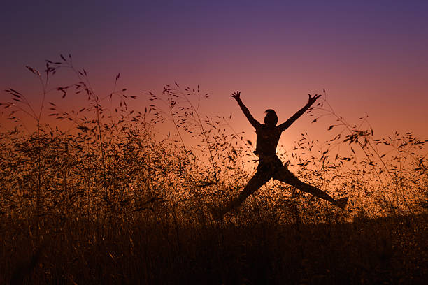 silhouette of girl jumping in a meadow stock photo