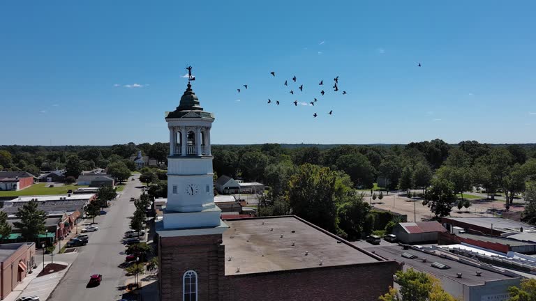 Camden Clock Tower, surrounded by pigeons, rise above Broad Street in Camden, South Carolina. Blue sky in sunny day. Aerial footage with full orbiting camera motion