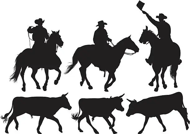 Vector illustration of Multiple image of rodeo