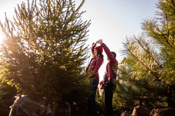 casal apaixonado em camisas vermelhas xadrez, chapéus de malha, danças, giros entre o mercado verde da árvore de natal - christmas tree standing clothing adventure - fotografias e filmes do acervo