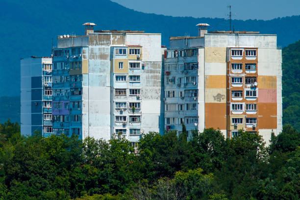 residential buildings in the forested mountains