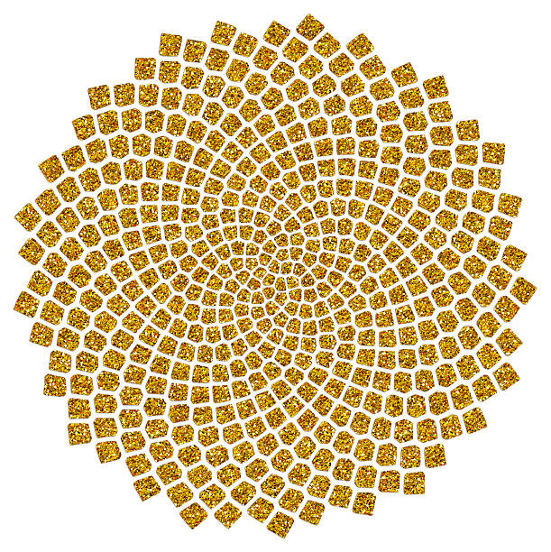 Sunflower Seeds, Golden Ratio, Fibonacci, Phi Sunflowers have a Golden Spiral seed arrangement. Golden Spirals are formed by nesting Golden Rectangles and then connecting an arc through the corners of the resulting squares. Multiple spirals, interlocked, create the familiar sunflower. natural pattern photos stock illustrations