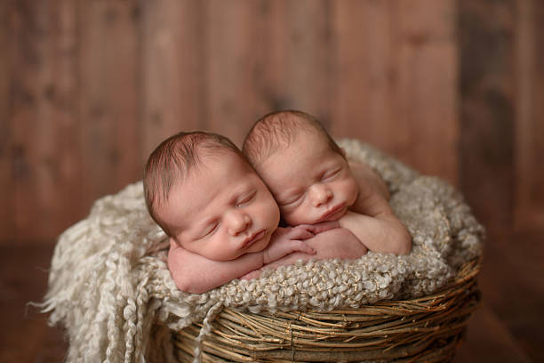 istock Newborn Twins Sleeping in a Basket 174318999