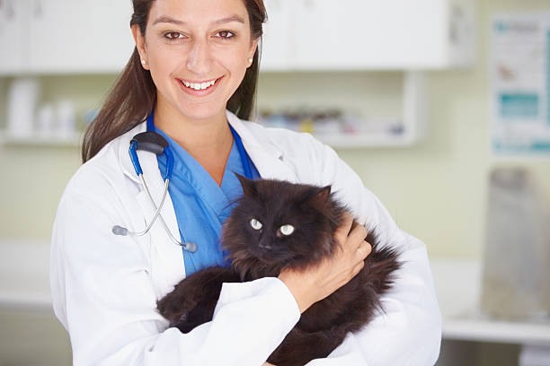 istock She's a very healthy cat! 174325280