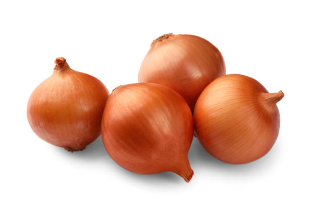 istock Many fresh unpeeled onions on white background 1743255647