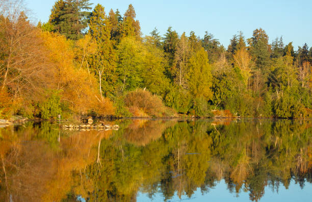 istock Lost Lagoon  in Stanley Park, Vancouver, Canada 1743262173