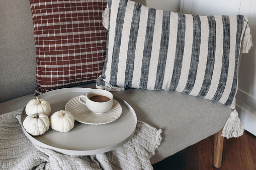 Still life decorative details at home. Living room interior. Cup of coffee, round serving tray. White little pumpkins. Breakfast on linen sofa, checkered, striped cushions. Cozy autumn. Winter concept