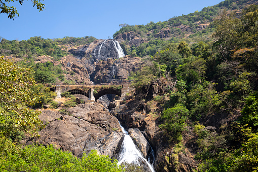 This image captures the Dudhsagar Waterfall in its full majesty, alongside the iconic train line that passes over it. Located on the Mandovi River in Goa, Dudhsagar is one of India's tallest waterfalls, standing at a height of 310 metres. The waterfall's cascading white streams give it its name, which translates to \