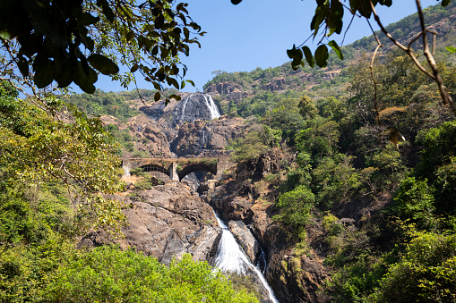 This image captures the Dudhsagar Waterfall in its full majesty, alongside the iconic train line that passes over it. Located on the Mandovi River in Goa, Dudhsagar is one of India's tallest waterfalls, standing at a height of 310 metres. The waterfall's cascading white streams give it its name, which translates to \