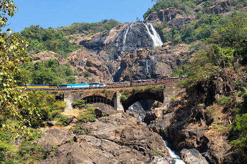 This image captures the Dudhsagar Waterfall in its full majesty, alongside the iconic train line that passes over it. Located on the Mandovi River in Goa, Dudhsagar is one of India's tallest waterfalls, standing at a height of 310 metres. The waterfall's cascading white streams give it its name, which translates to 