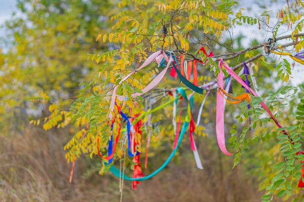Tree decorated with colored ropes and notes on clothespins in the sunlight. Multicolored ribbons on branches of a tree against the sky. traditional wish tree in the village