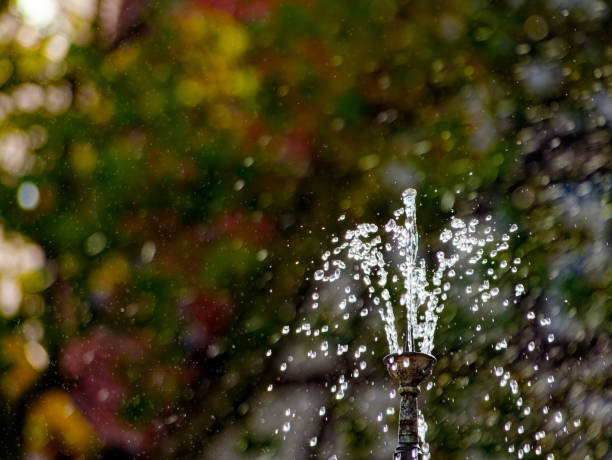 istock little fountain 1743279748