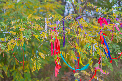 Tree decorated with colored ropes and notes on clothespins in the sunlight. Multicolored ribbons on branches of a tree against the sky. traditional wish tree in the village
