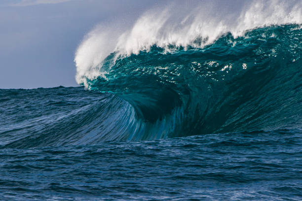 istock Big blue wave forming in the open ocean over a shallow reef bombora 1743287145
