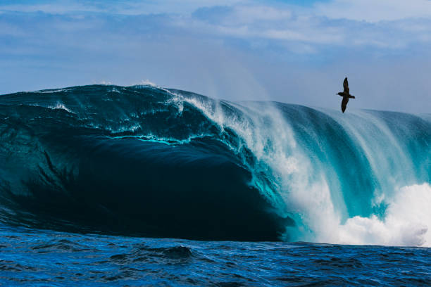 istock Big blue curved wave breaking in the open ocean over a shallow reef bombora 1743289823