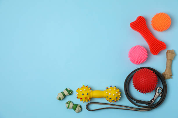 istock Flat lay composition with dog leash and toys on light blue background, space for text 1743338846