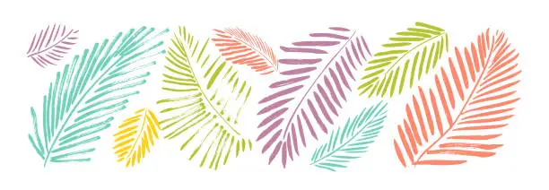 Vector illustration of Colorful palm leaves collection.