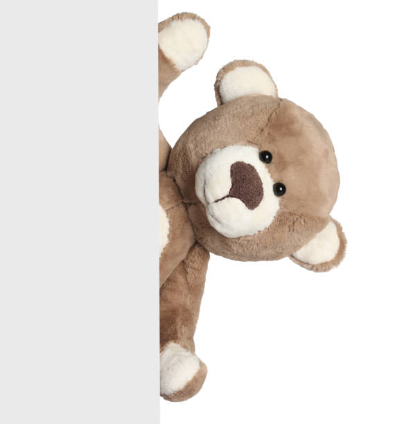 Brown teddy bear doll smiling and sitting on white background