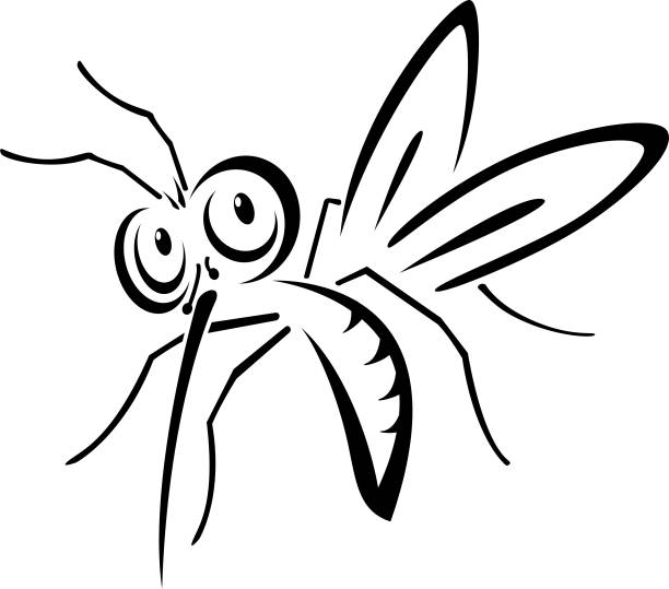 vector illustration of a cartoon mosquito vector illustration of a cartoon mosquito spider tribal tattoo stock illustrations