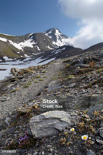 Sentiero Alla Vetta - Fotografie stock e altre immagini di Alpi - Alpi, Alpinismo, Ambientazione esterna