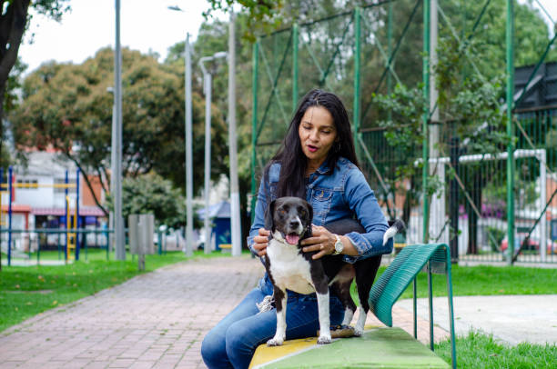 middle aged woman sitting on a bench with dog in public park stock photo
