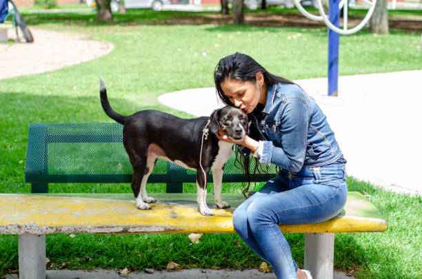 middle aged woman sitting on a bench with dog in public park stock photo