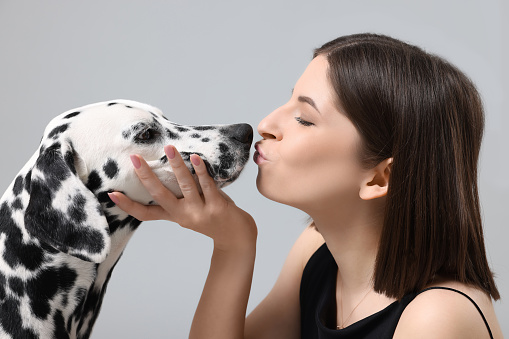 Beautiful woman kissing her adorable Dalmatian dog on light grey background. Lovely pet
