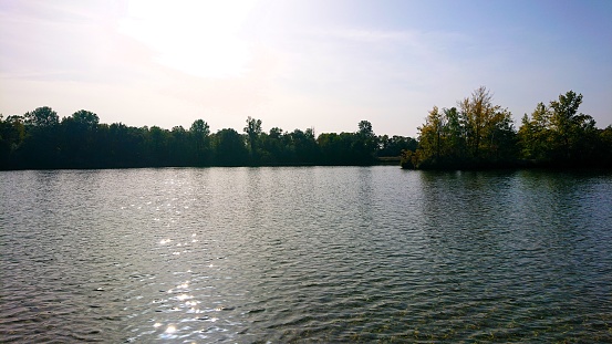 A wide-angle photo overlooking a pond, botanical garden and blue sky.