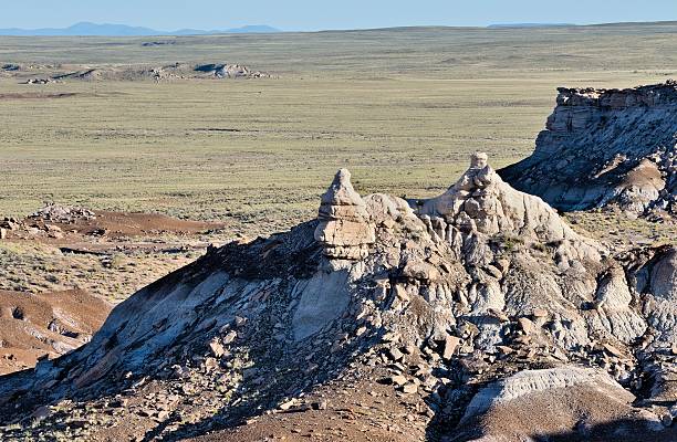 istock Petrified Forest National Park 174344338