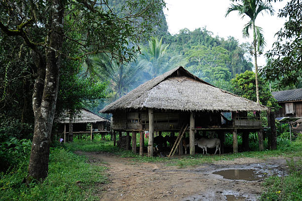Karen village Karen village, Thailand padaung tribe stock pictures, royalty-free photos & images