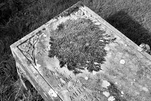 Moss covered 19th century gravestone in the cemetery of the High Kirk, Rothesay, Isle of Bute, Scotland.