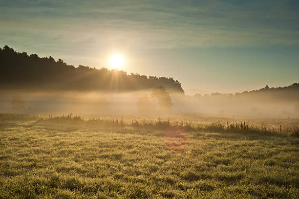 istock Sunrise over the misty field 174350580