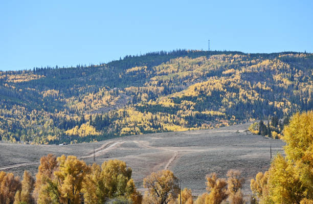 istock Colorful Trees on the Mountain 1743531223