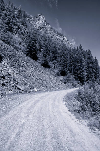 istock Dirt Road in Gallatin National Forest Montana 174353432