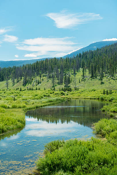 Snowflake Springs in Big Sky Montana Valley This is a vertical, color photograph of the reflecting waters of Snowflake Springs in Big Sky Montana located in Gallatin County. big sky ski resort stock pictures, royalty-free photos & images