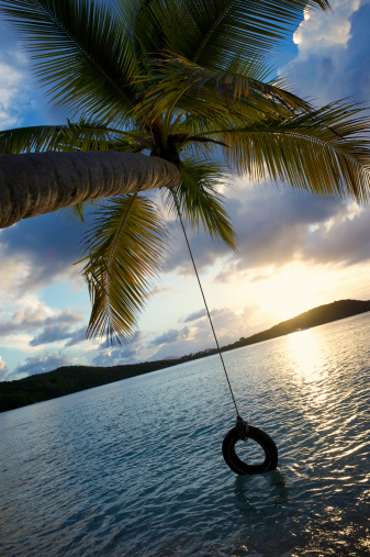 Golden sunset behind tire swing hanging from palm tree over tropical sea